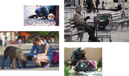 A Propos L'ile du bonheur<br />